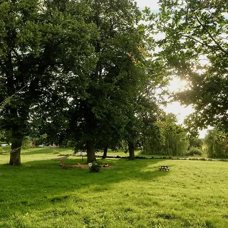 Charming With A Library Prebberede