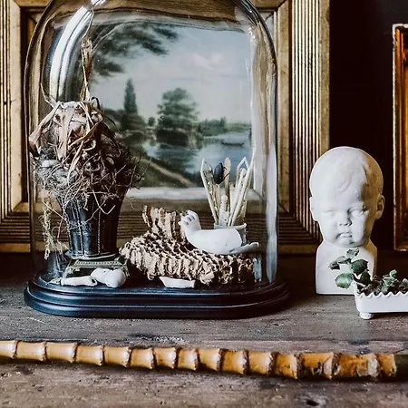 Charming With A Library Feriehus